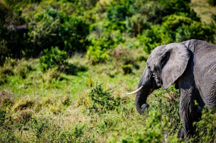 Goa’s Largest Protected Area