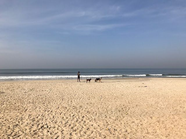 The Pretty Beach Of South Goa