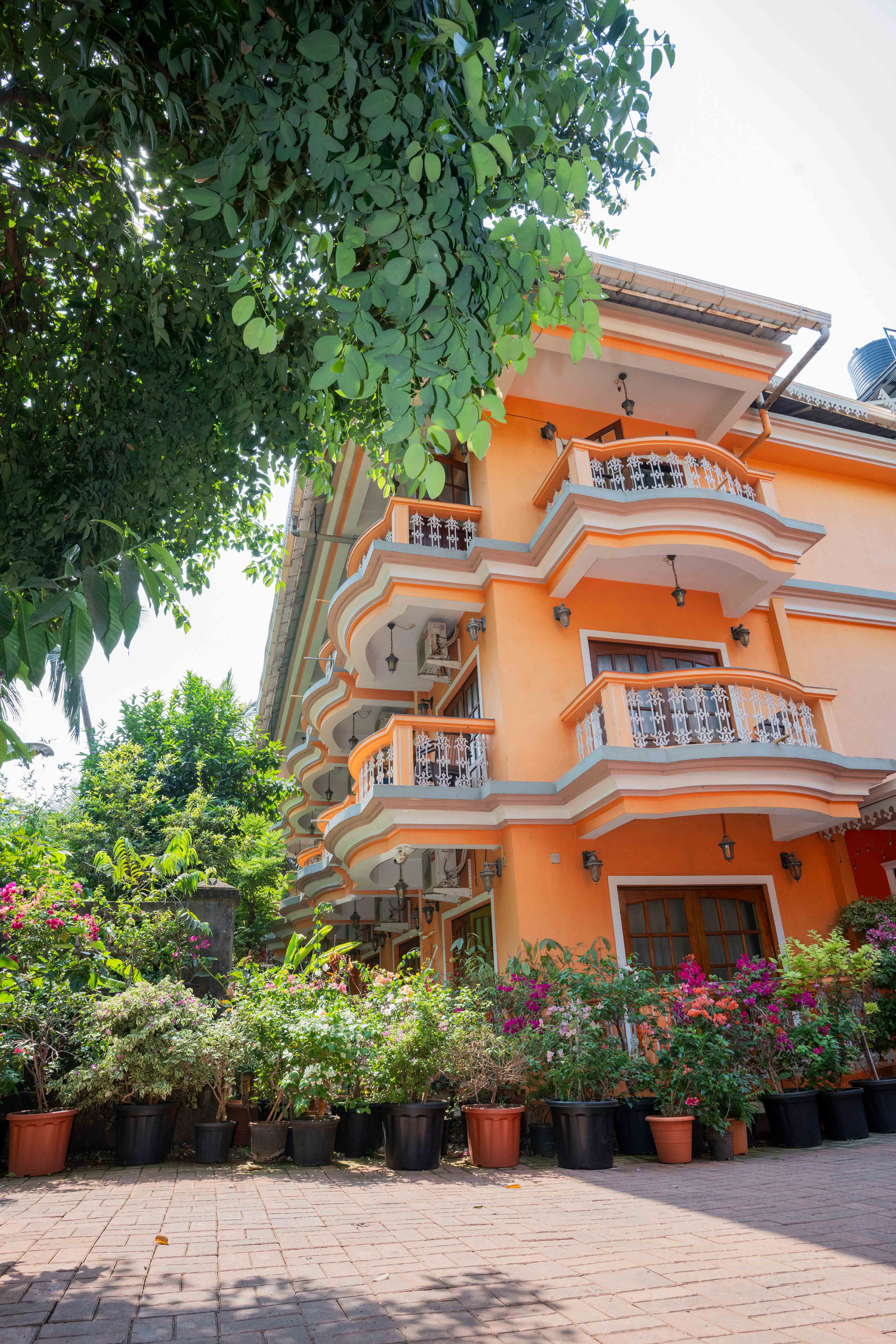 HOME GALLERY Image