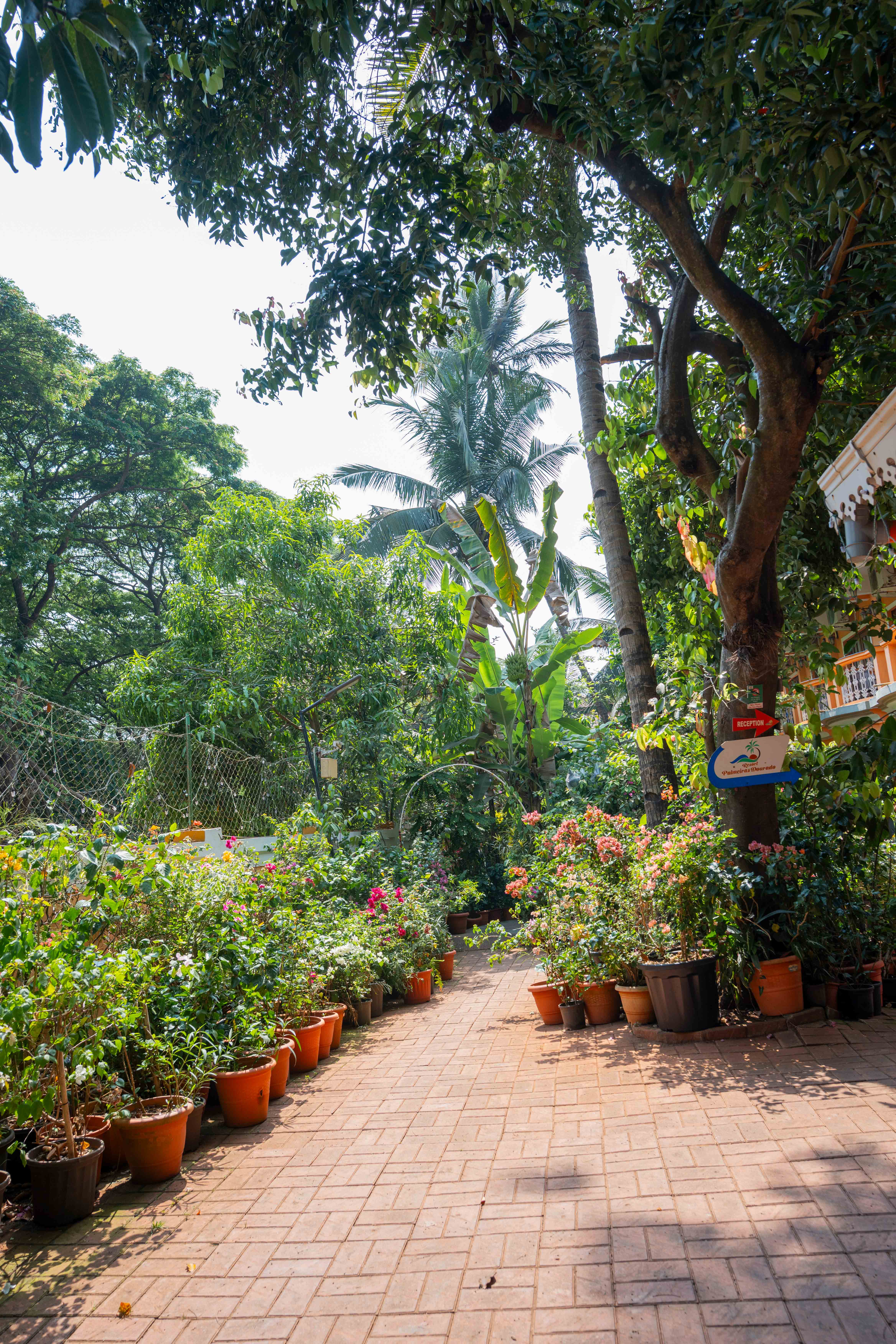 HOME GALLERY Image